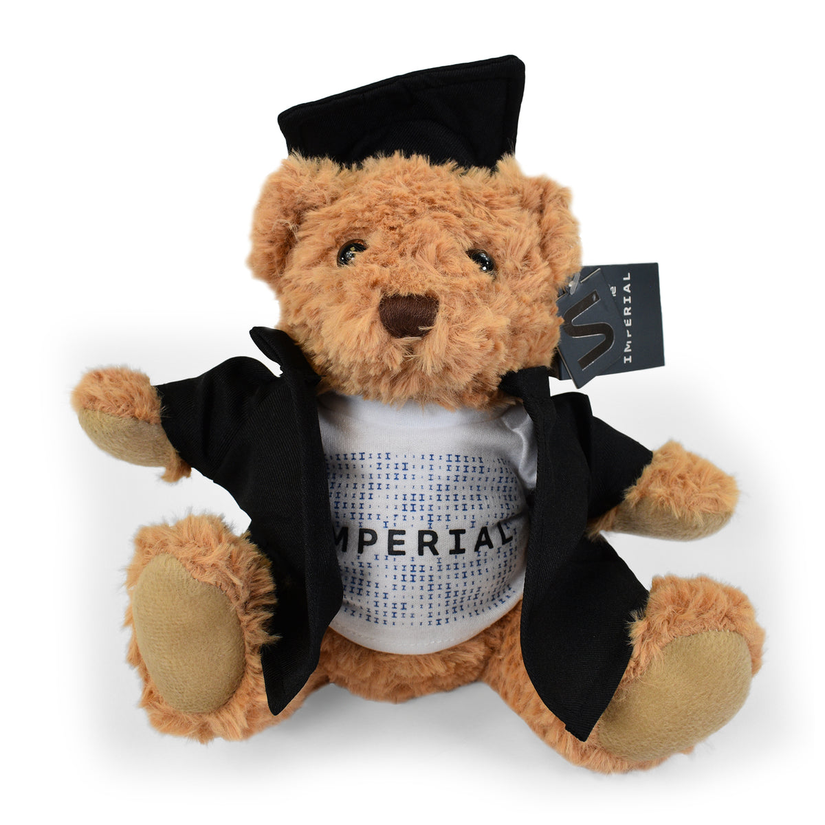 Graduation Teddy Bear 20cm